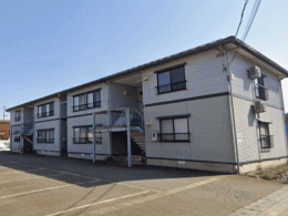 �����s|�A�p�[�g|�R�X���r���b�W|(�L)�G�k�G�[�P�[�Ǘ�